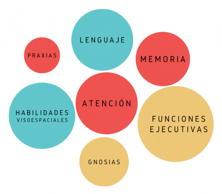 ¿Qué son los procesos cognitivos? Hoy, Atención