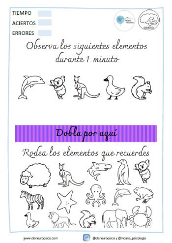 Memoriza y rodea II