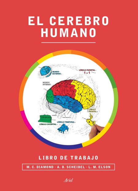 El Cerebro Humano, libro de trabajo